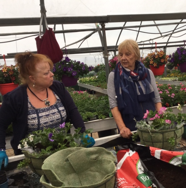 Making Hanging Baskets