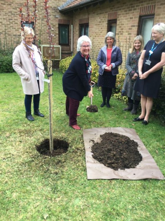 Planting a tree